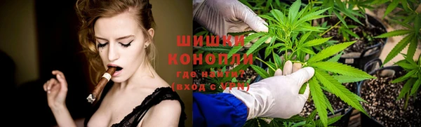 гидропоника Белокуриха