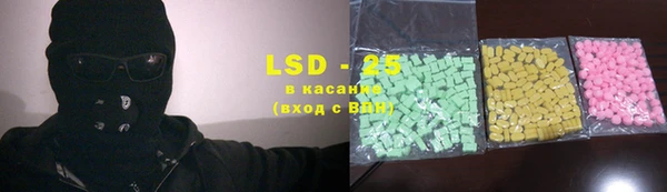каннабис Ессентукская