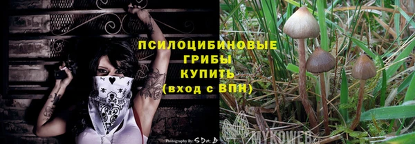 ПСИЛОЦИБИНОВЫЕ ГРИБЫ Белоозёрский